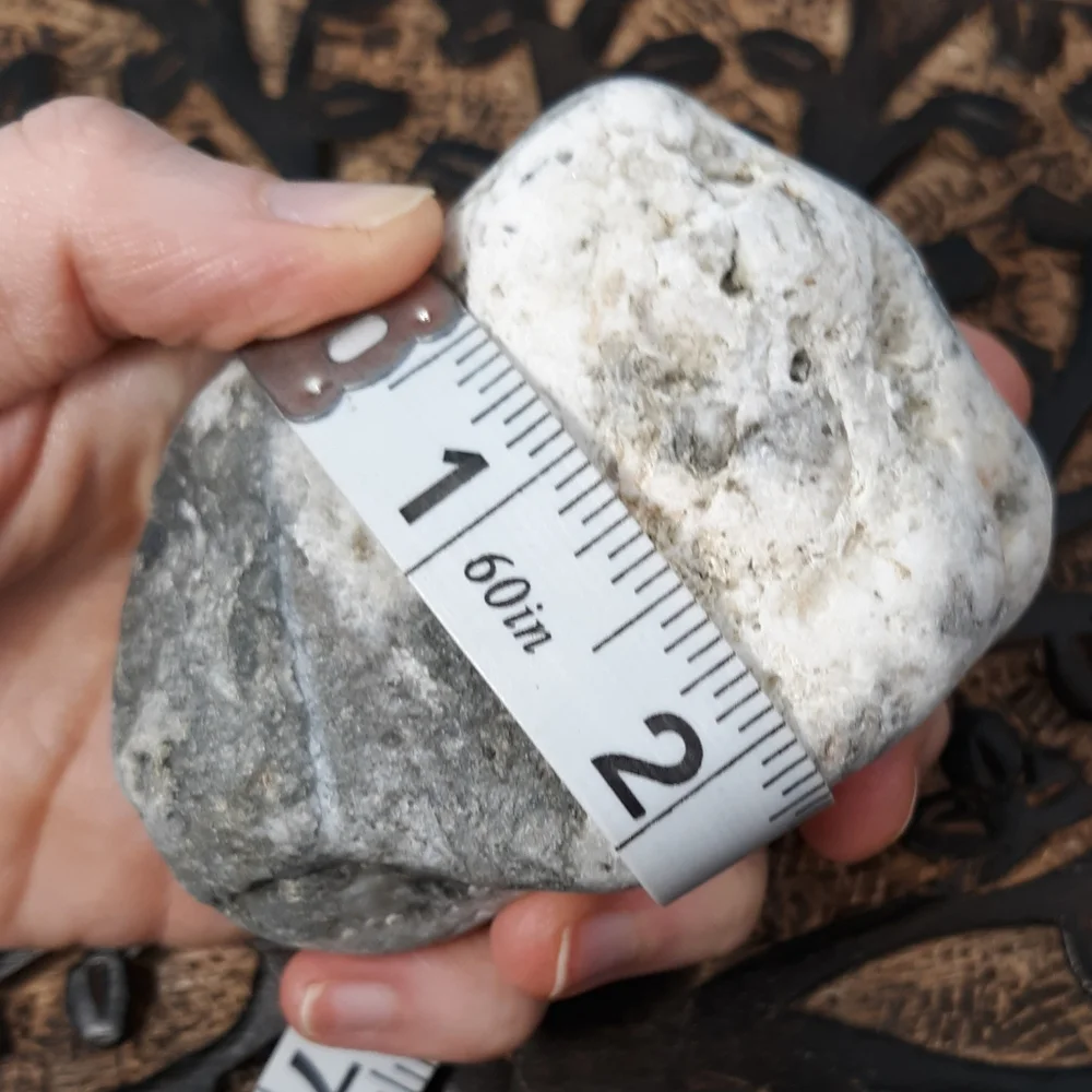 Maine Mottled Stone East Coast Lucky Beach Rock Raw Mineral Specimen Gray White